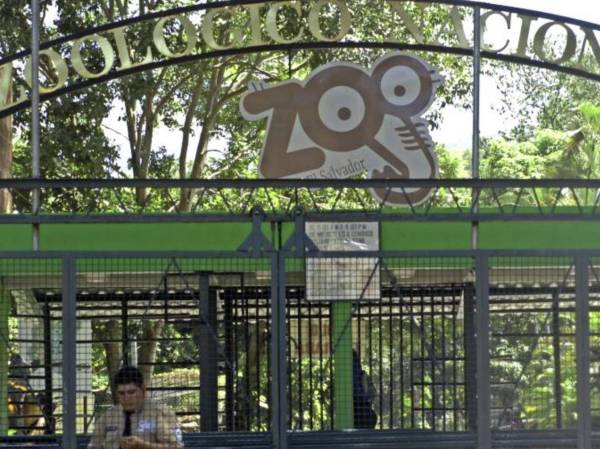 El Salvador: Anuncian cierre del Zoológico Nacional para convertir sus instalaciones en parque ecológico