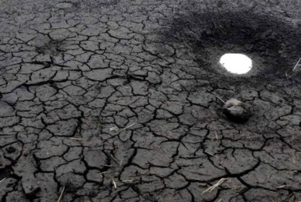 Cambio climático hace estragos en corredor seco de Centroamérica