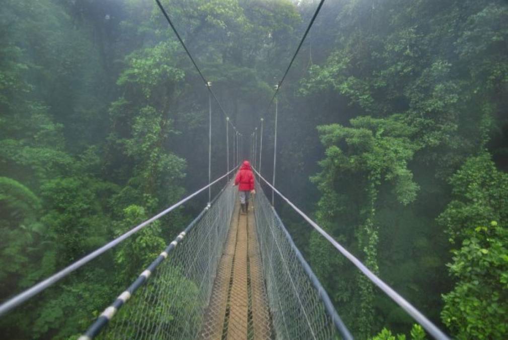 Costa Rica, un destino para descubrir una aventura natural (y sostenible)