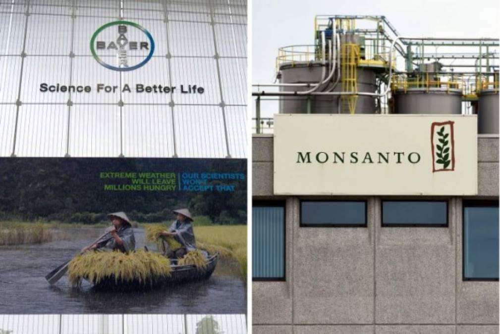 Bayer apuesta por la agricultura intensiva con la compra de Monsanto