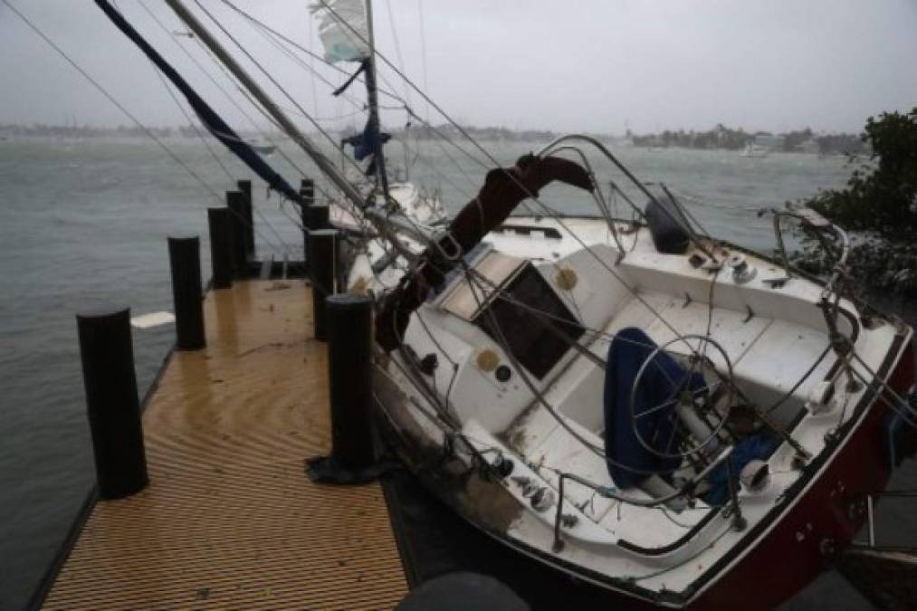 'Irma' se degrada a tormenta tropical mientras cruza Florida