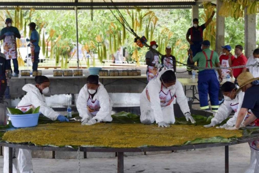 Panamá: Indígenas logran récord Guinness con el 'patacón' más grande del mundo