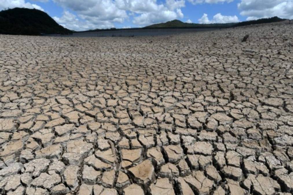 Honduras vive emergencia por sequía