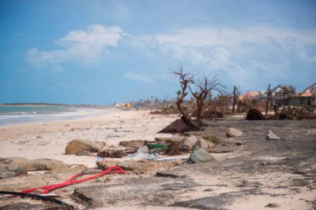 Cruz Roja: Un millón de afectados en el Caribe por Huracán Irma