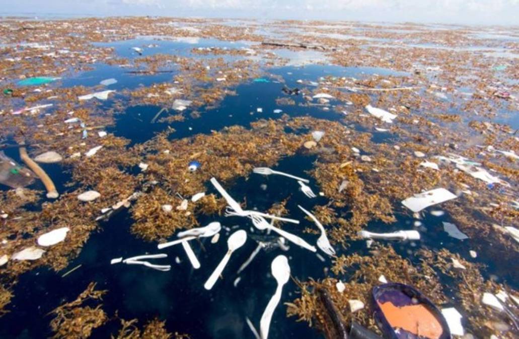 Foto: Estrategia y Negocios