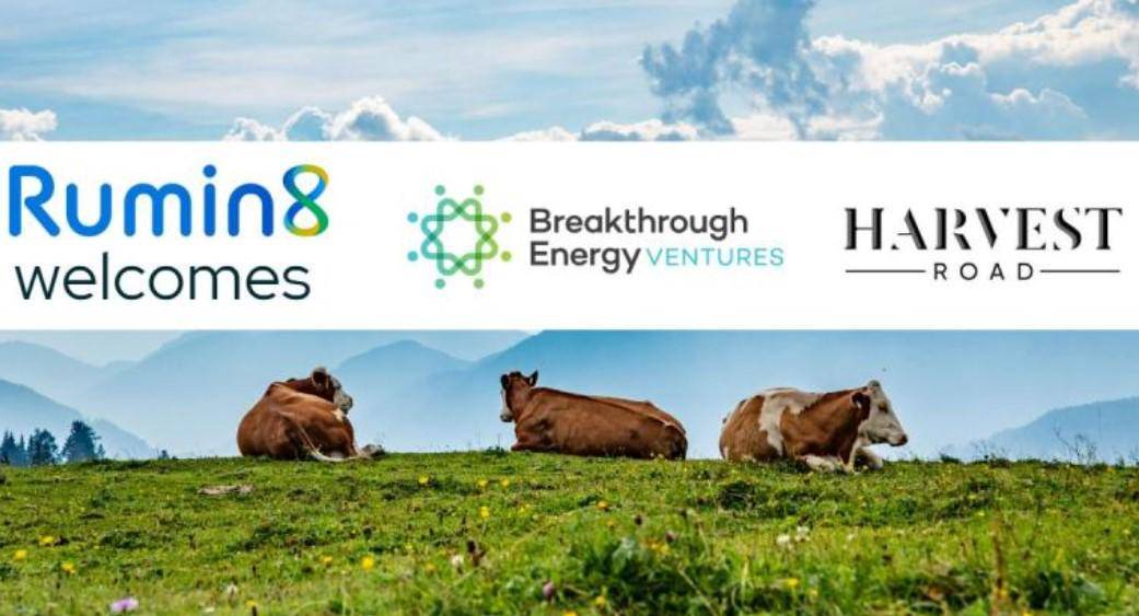 Bill Gates apuesta por startup que busca reducir el metano que emiten los gases de las vacas