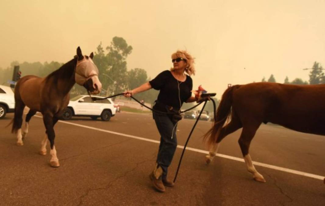 Incendios arrasan la región del vino de California