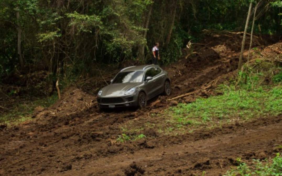 Porsche, sin miedo a caminos extremos