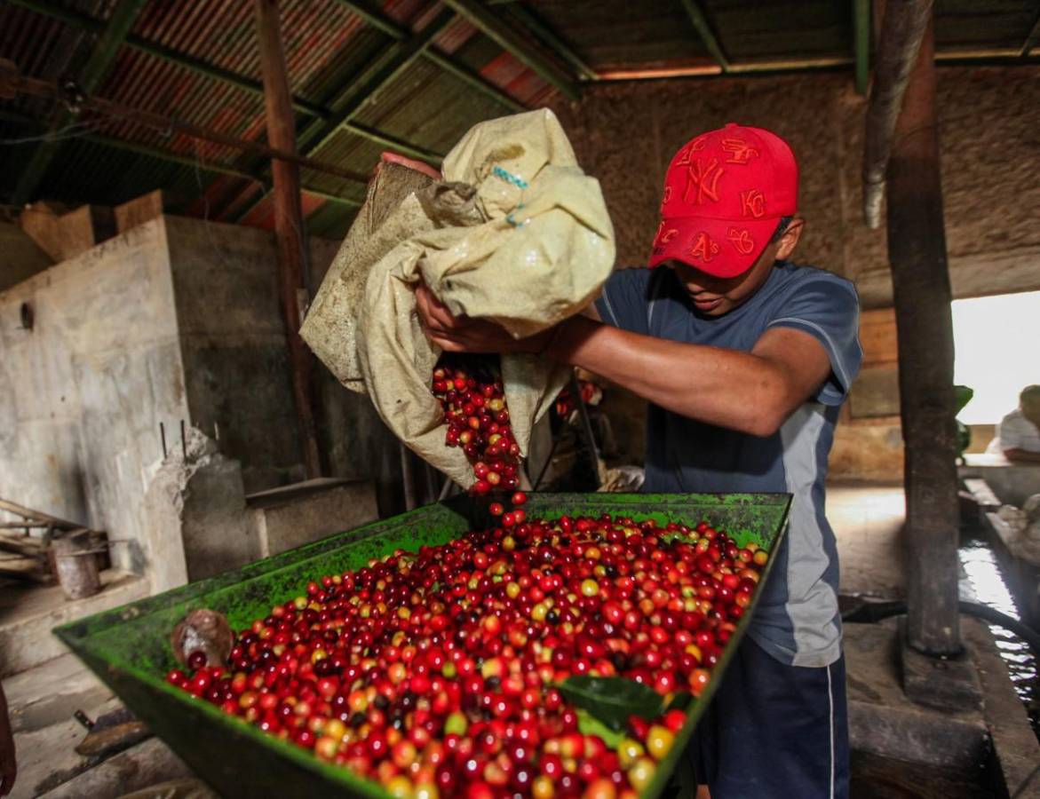 Empresas de América Latina generan negocios por US$20 millones en rueda virtual