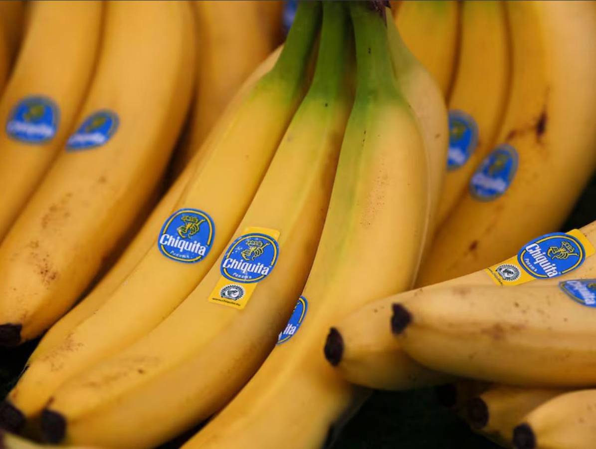 Chiquita vuelve a Panamá y contratará 3.000 personas para reiniciar operaciones