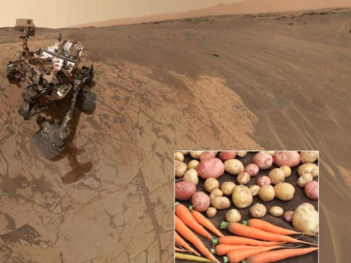 NASA: ¿Se pueden cultivar papas en Marte?