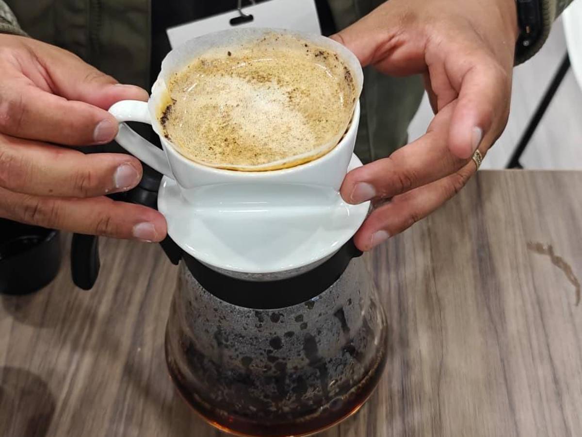 La especialización del café le granjea éxitos a Panamá