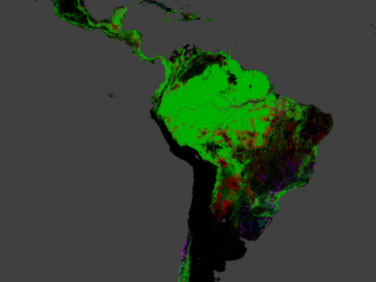 Latinoamérica: mapa satelital desnuda brutal deforestación