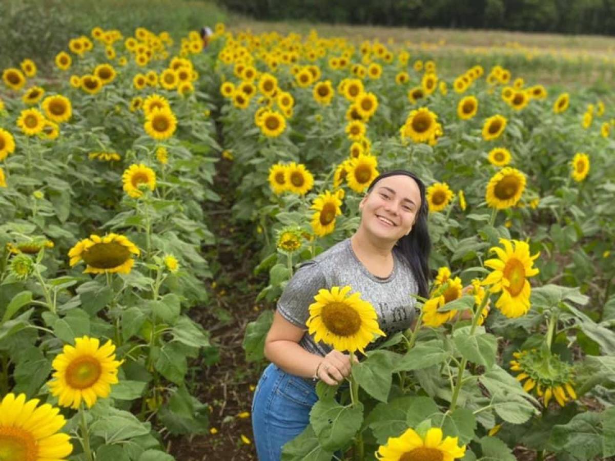 Tour en campo de girasoles de Costa Rica incluye 200,000 variedades ¿lo imagina?