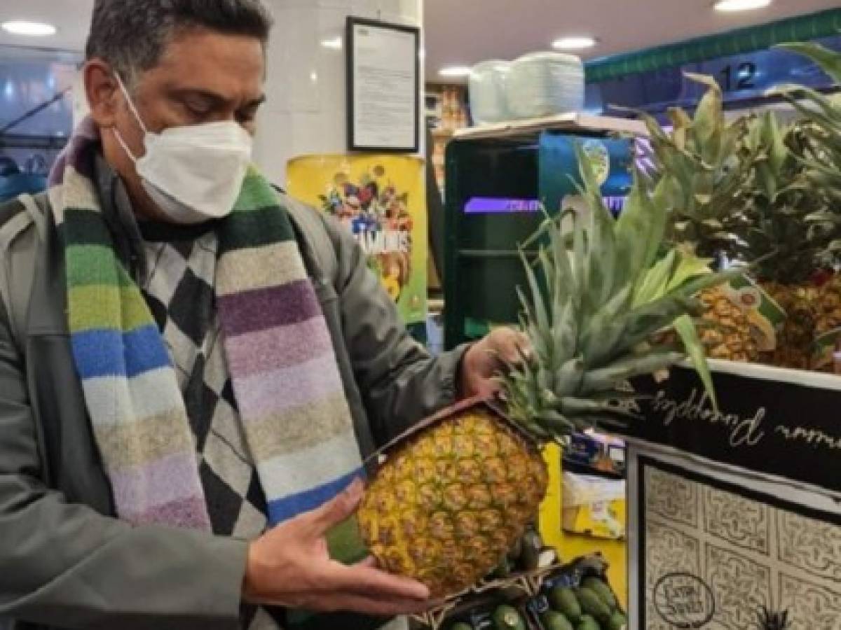 Piña fresca panameña conquista mercados europeos