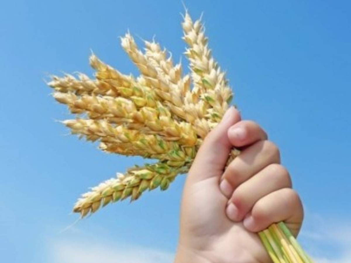 Guatemala: desnutrición aguda se redujo 15%