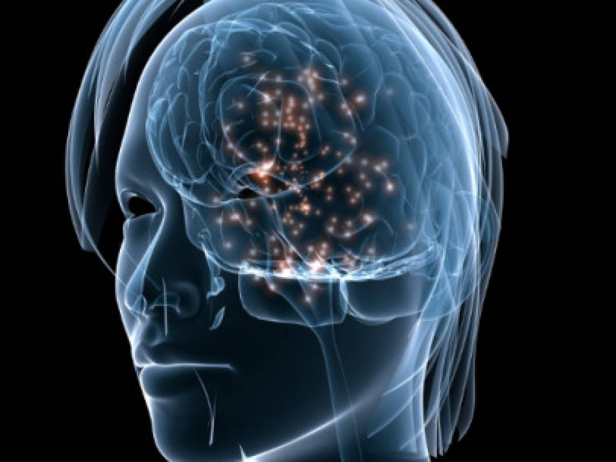 Neuroplasticidad del cerebro