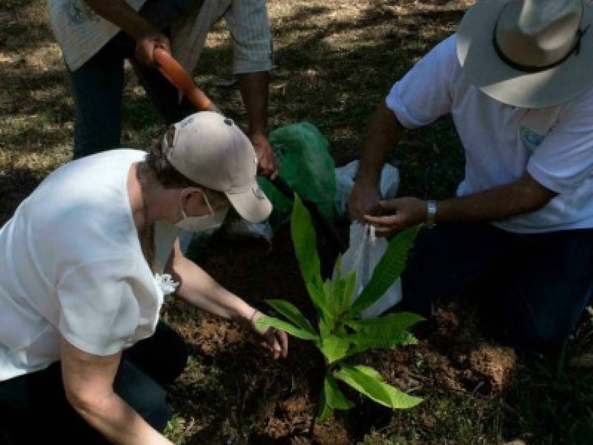 Fundación de Costa Rica promueve siembra de árboles en honor a víctimas del Covid-19