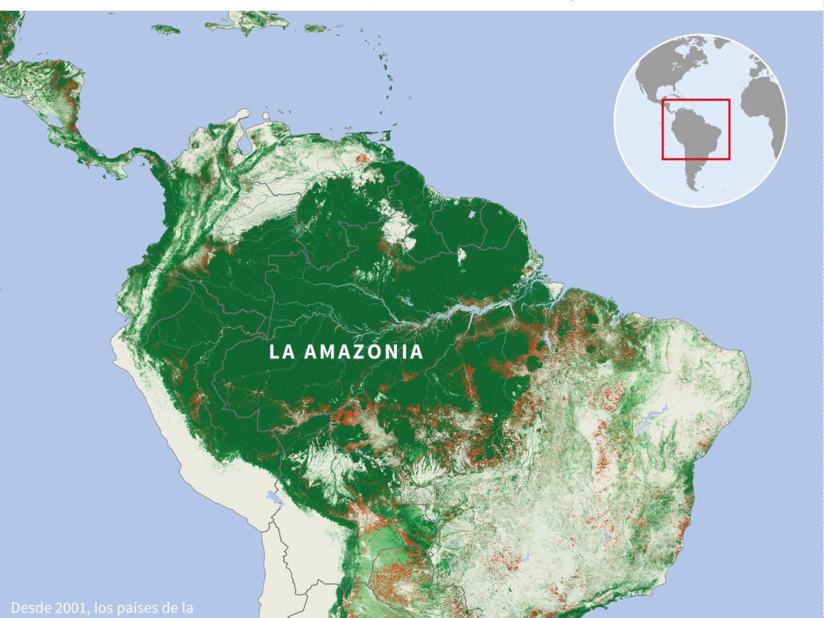 ¿En qué consiste el programa de conexión satelital que negociaron Bolsonaro y Musk?