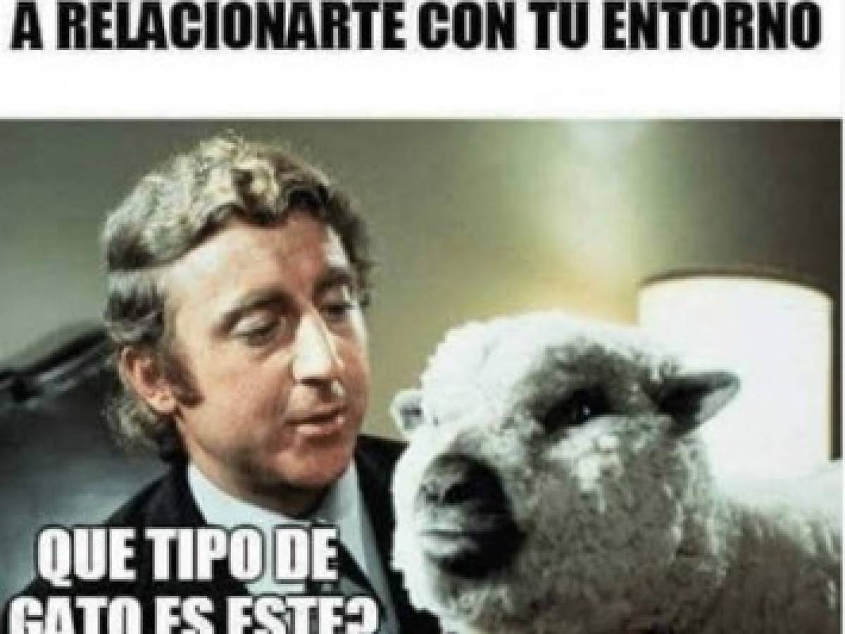 Usuarios se desahogan en memes por caída de WhatsApp, Instagram y Facebook