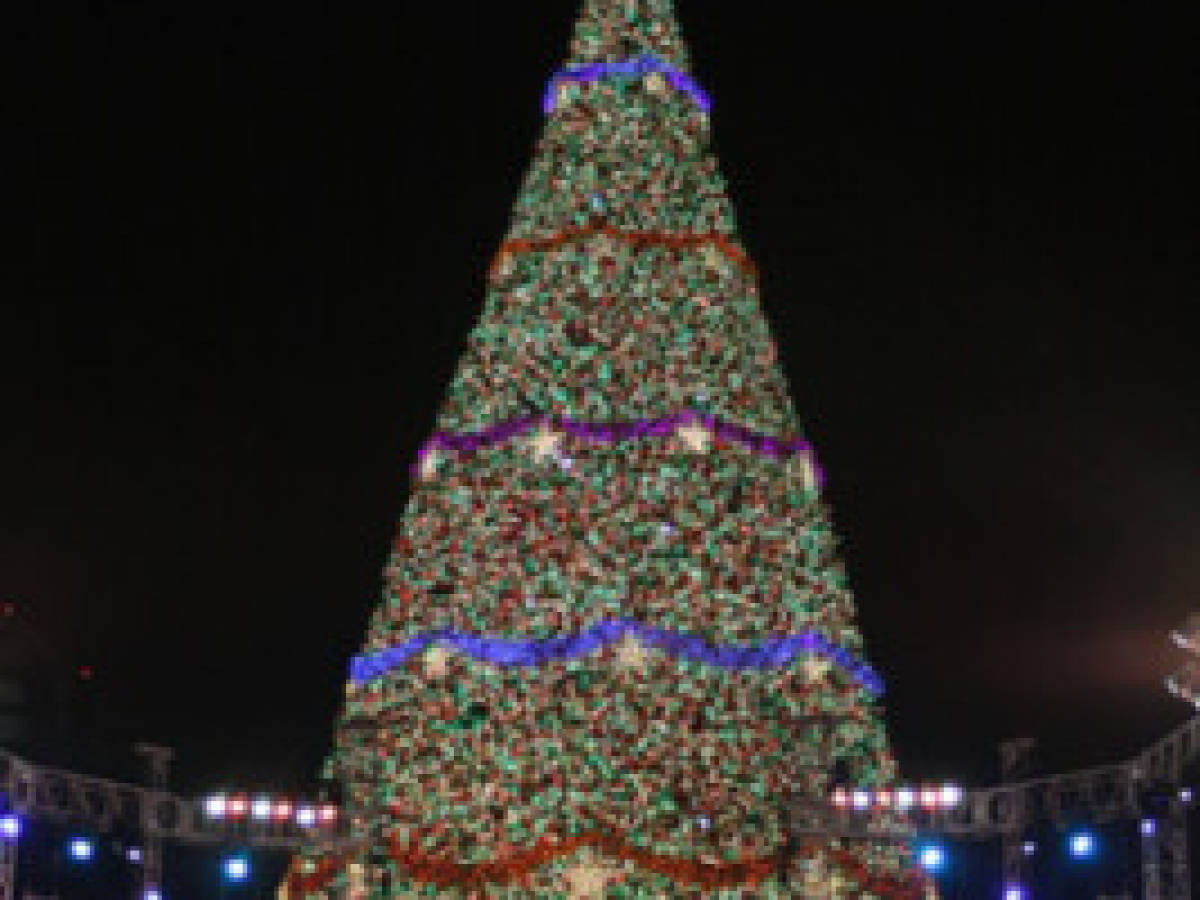 Guatemala enciende la Navidad con el Árbol Gallo