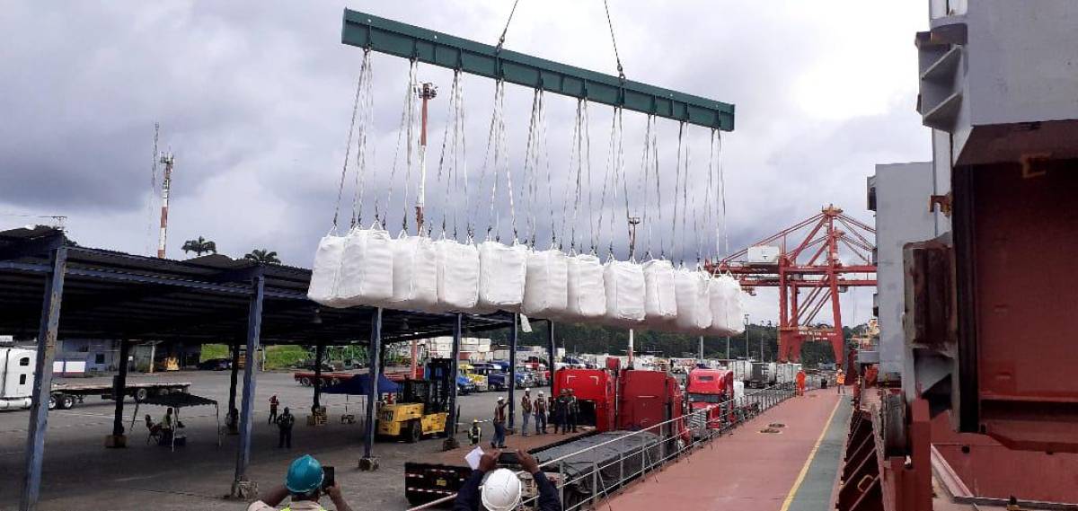 Importadoras de granos básicos en Costa Rica intensifican medidas para garantizar el suministro