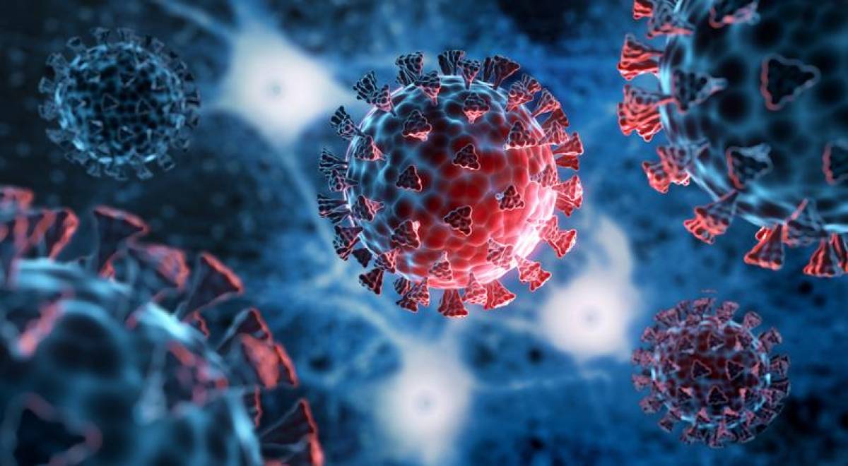 Pandemia de covid redujo esperanza de vida casi dos años entre 2019 y 2021