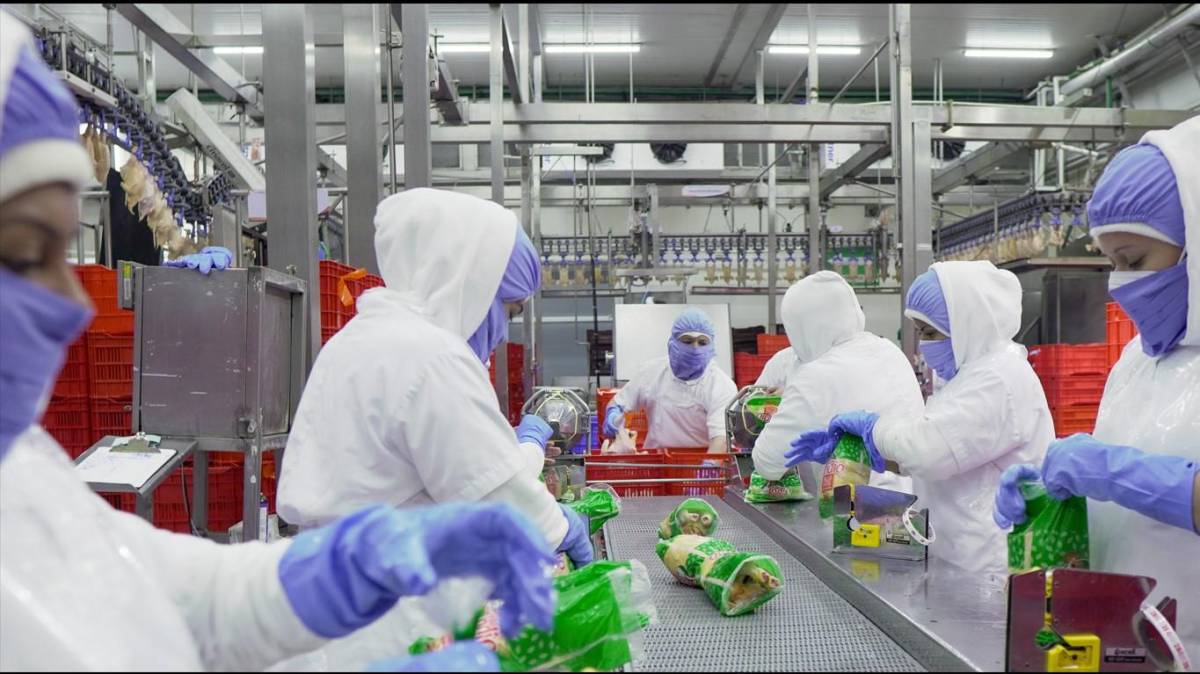 CMI invierte US$1.1 millones en planta de procesamiento avícola en El Salvador