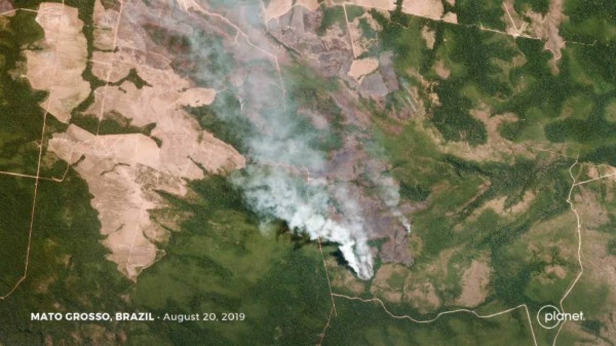 Grave incendio en el Amazonas dispara uso de fotos falsas (incluso entre famosos)
