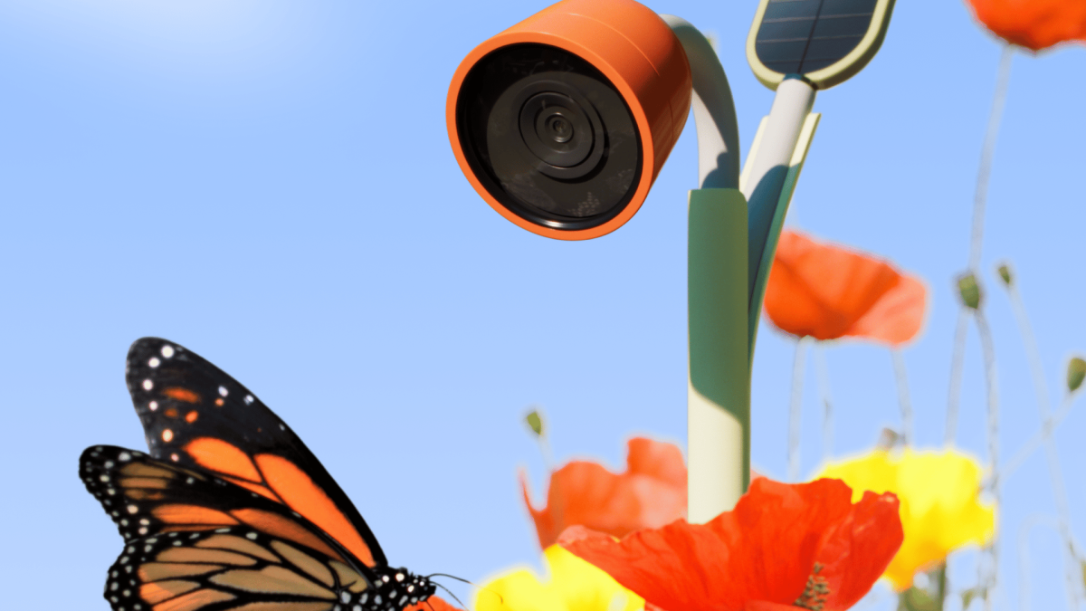 <i>Fotos a los insectos. Wonder presentó una pequeña cámara en forma de flor para que los usuarios los pongan en sus plantas y descubran todo tipo de insectos.</i>