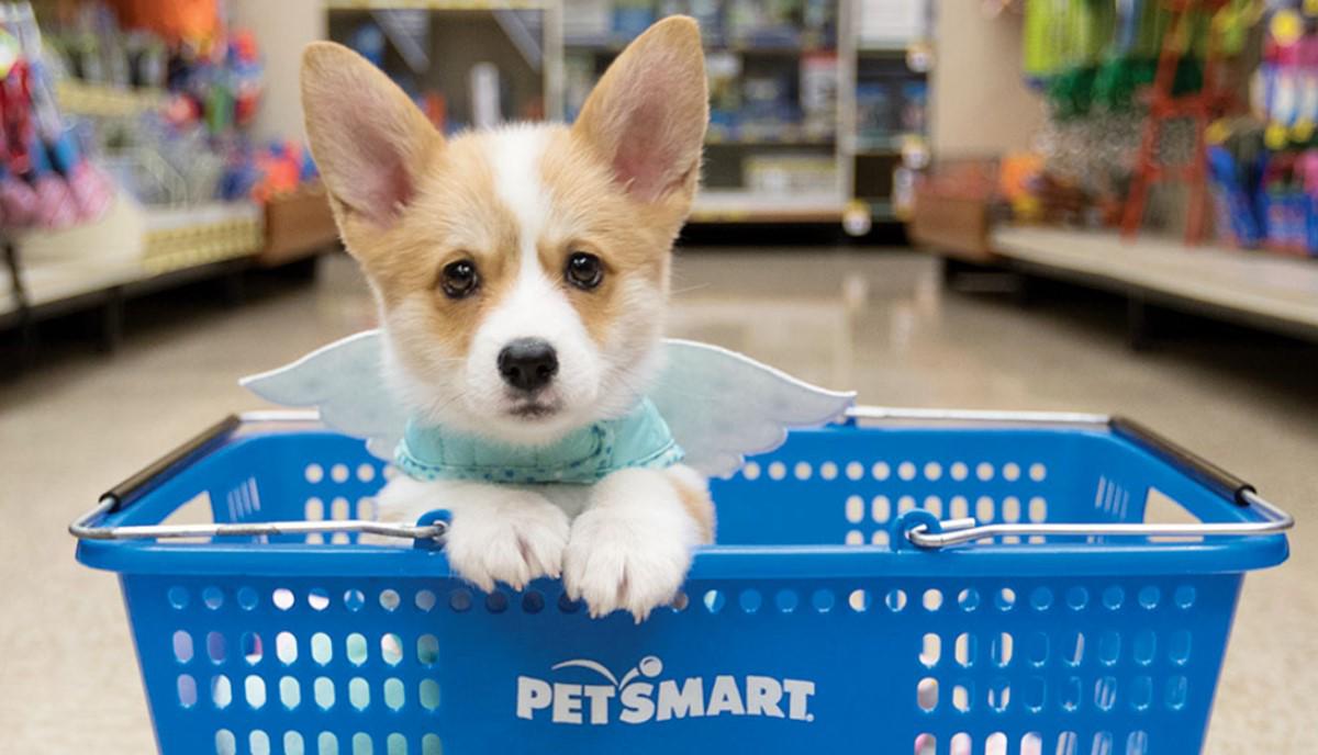 Empresa PetSmart establece en Costa Rica un nuevo centro tecnológico