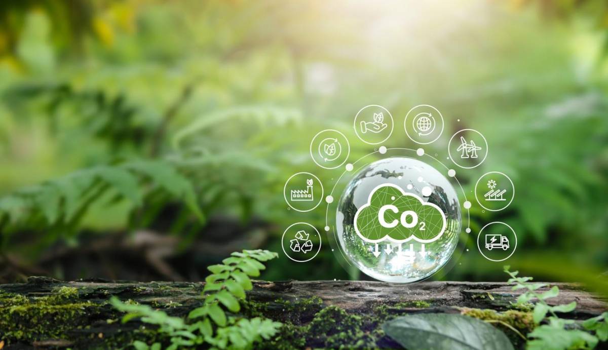 Estudio: Un impuesto básico universal puede reducir las emisiones de CO2