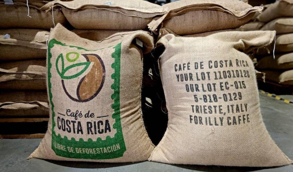 Cómo logró Costa Rica exportar su primer lote de café libre de deforestación