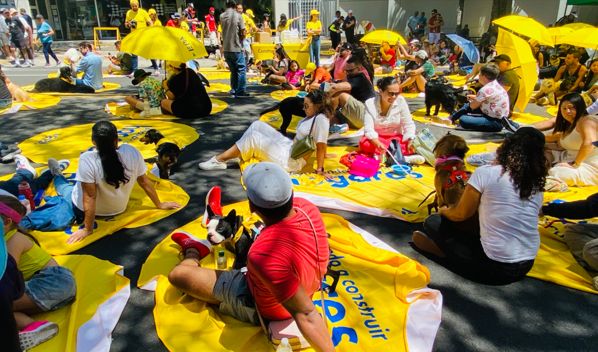 Concierto para Mascotas llega a más ciudades de Costa Rica