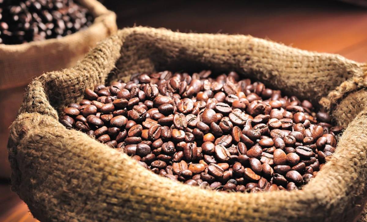Volumen exportado de café de Honduras creció 15,5 % a abril