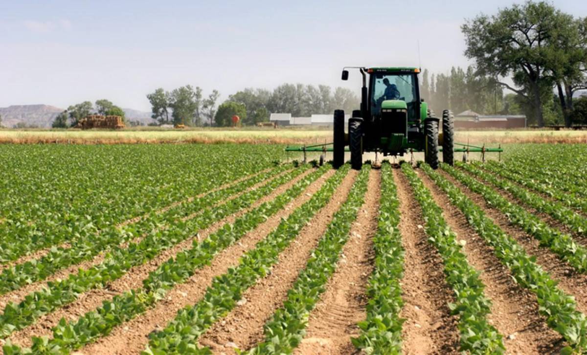 Estudio: Comer mal genera US$8 billones en costos ocultos para los sistemas agroalimentarios