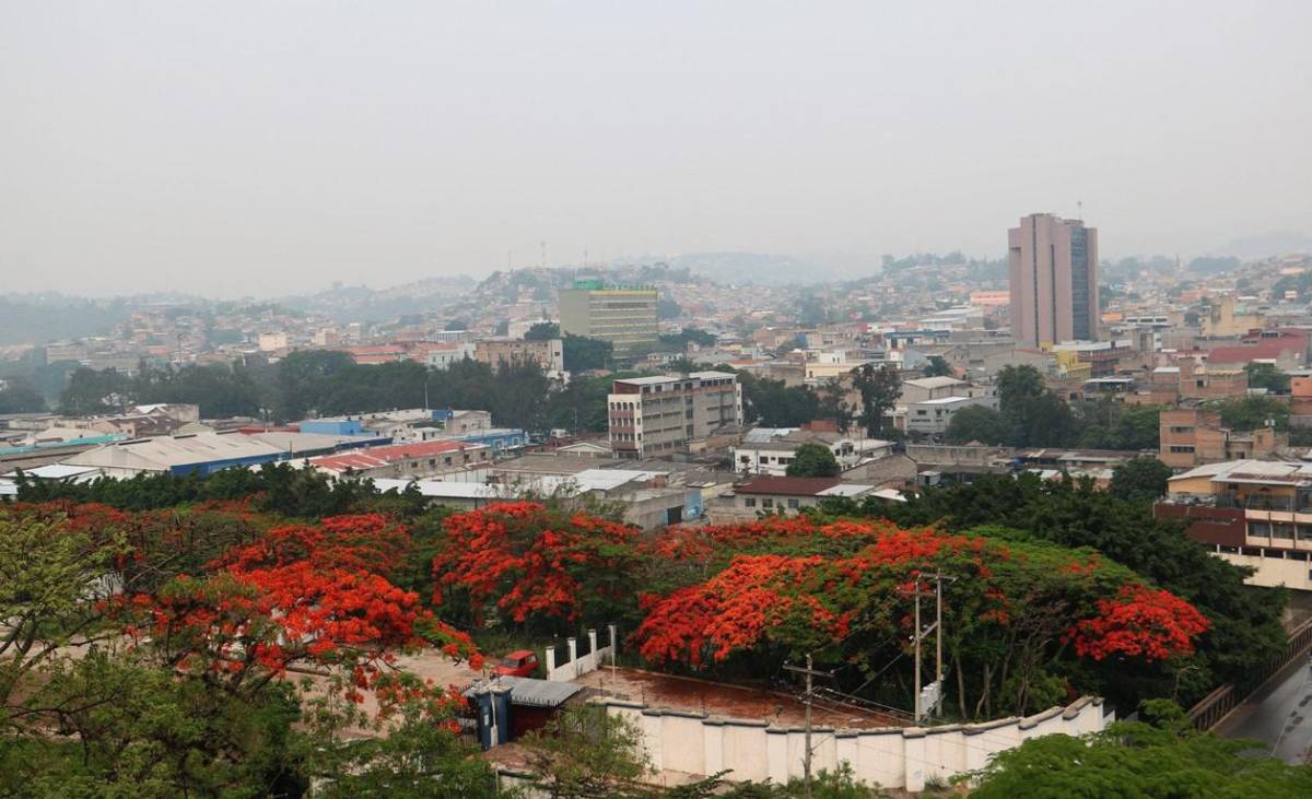 PIB de Honduras reporta crecimiento de 3,9 % en segundo trimestre