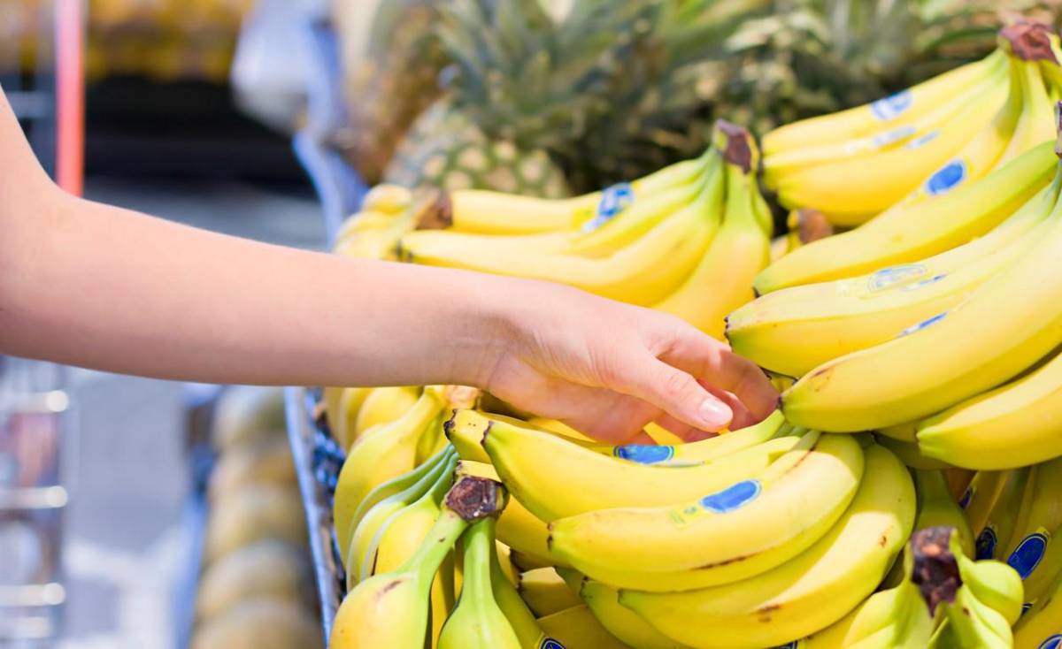 Justicia halla responsable a bananera Chiquita de financiar a paramilitares en Colombia
