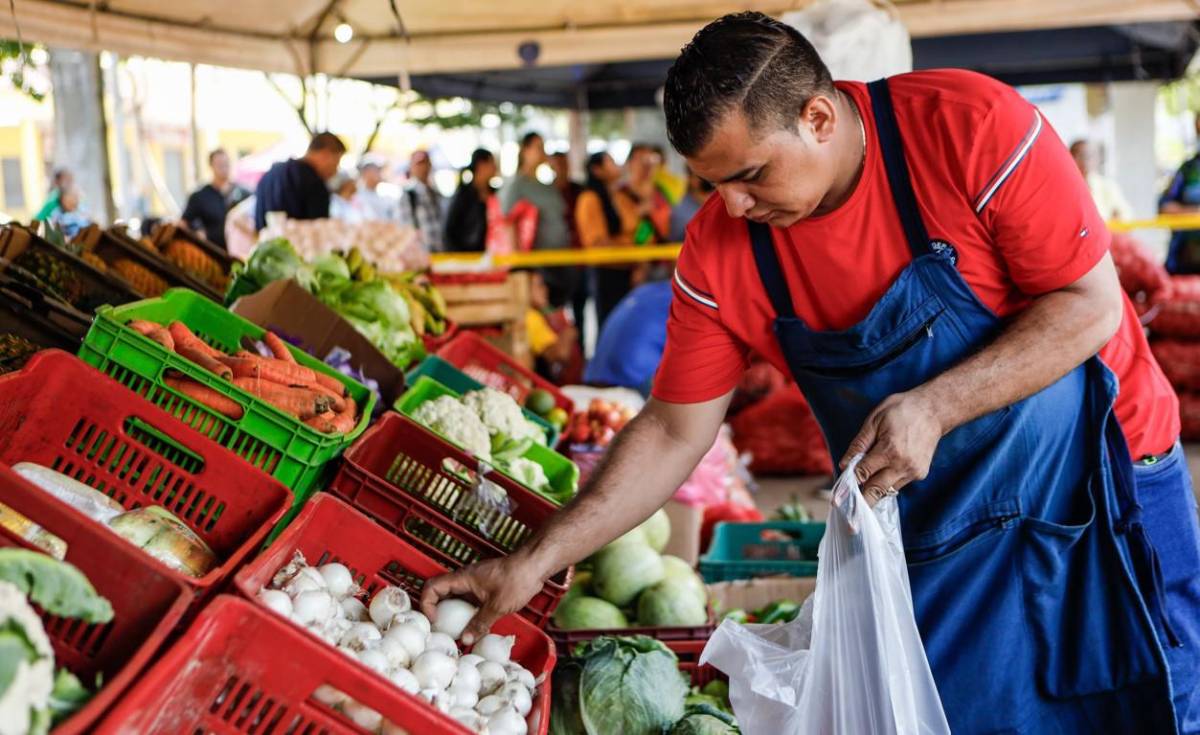 BCIE aprueba fondos para desarrollo de la cadena de productos agrícolas de El Salvador