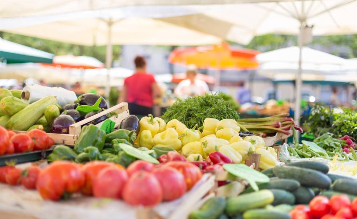 FAO: El comercio mundial de alimentos aumentará un 2,5 % en 2024