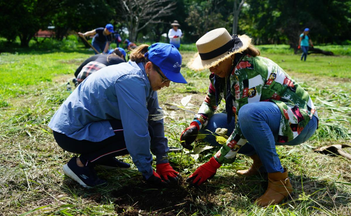 Costa Rica se moviliza para sembrar 2,5 millones de árboles