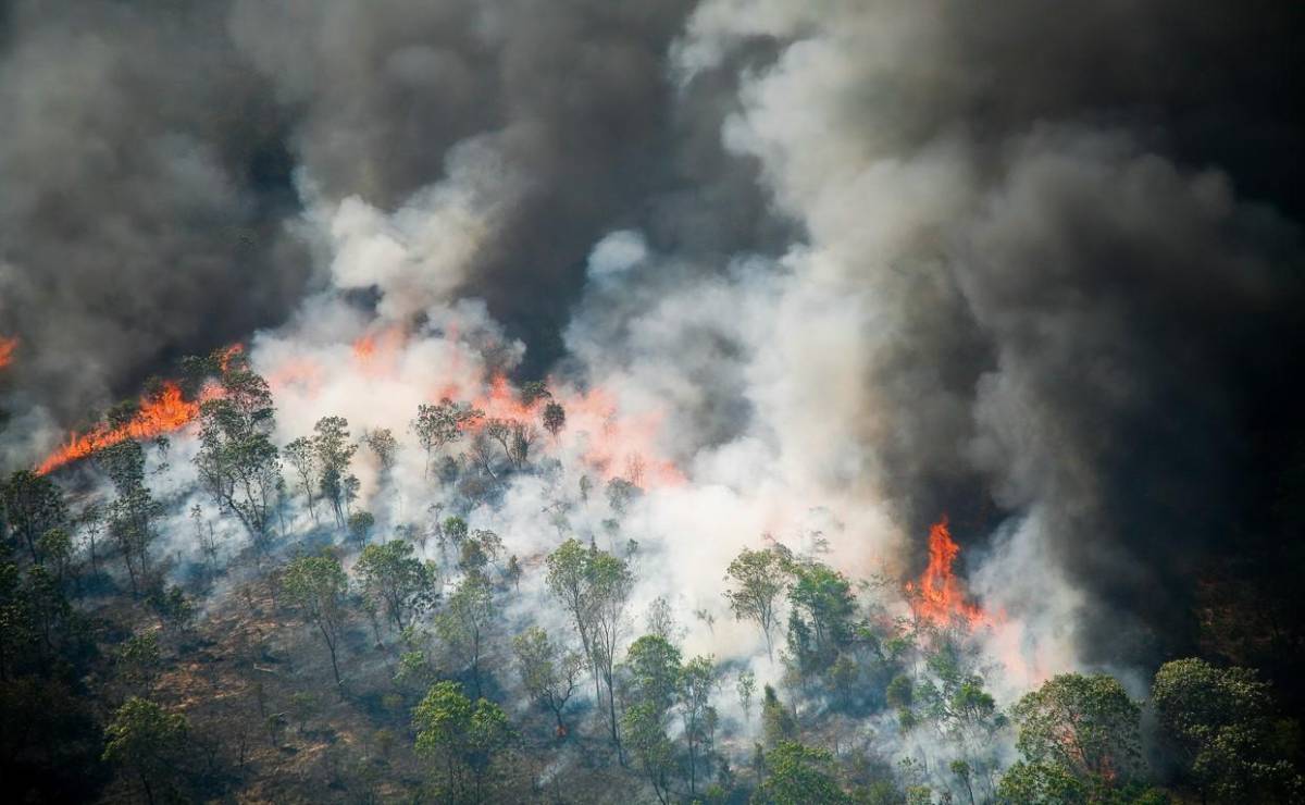 Amazonía brasileña registra récord de casi 3.000 incendios en febrero