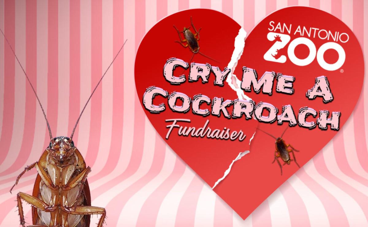 ¿El nombre de su ex en una cucaracha?... Peculiar manera de festejar el Día de San Valentín