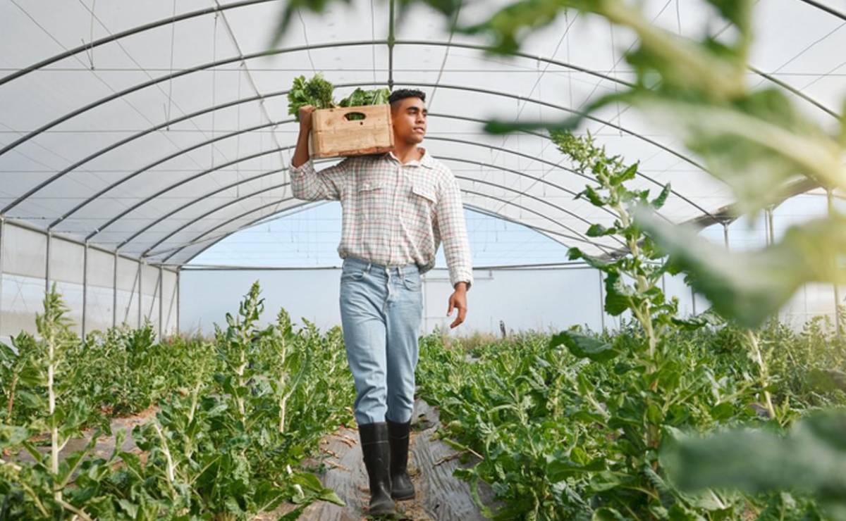 <i>De acuerdo con la firma, “la agroindustria necesita personas capaces de aprender nuevas herramientas a medida que aparecen y, sobre todo, de entender para qué utilizarlas”. Foto de iStock</i>