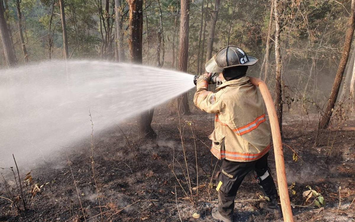 Gobierno de Guatemala declara estado de Calamidad por un mes debido a incendios