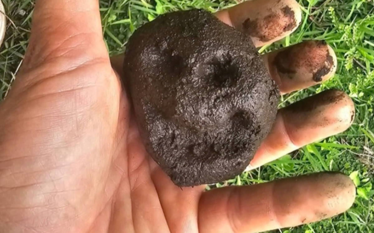 Impulsan limpieza del río costarricense Purires con esferas de barro