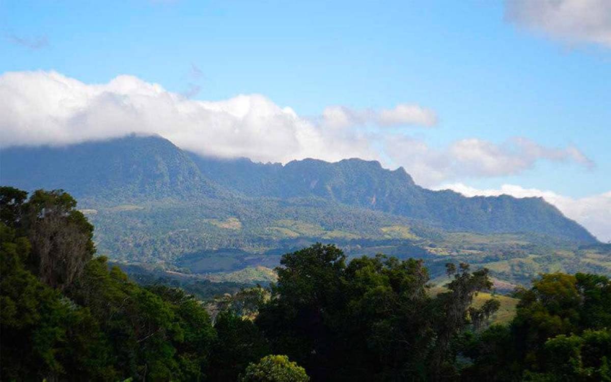 Gobierno de Nicaragua otorgó nueva concesión minera en reserva biológica