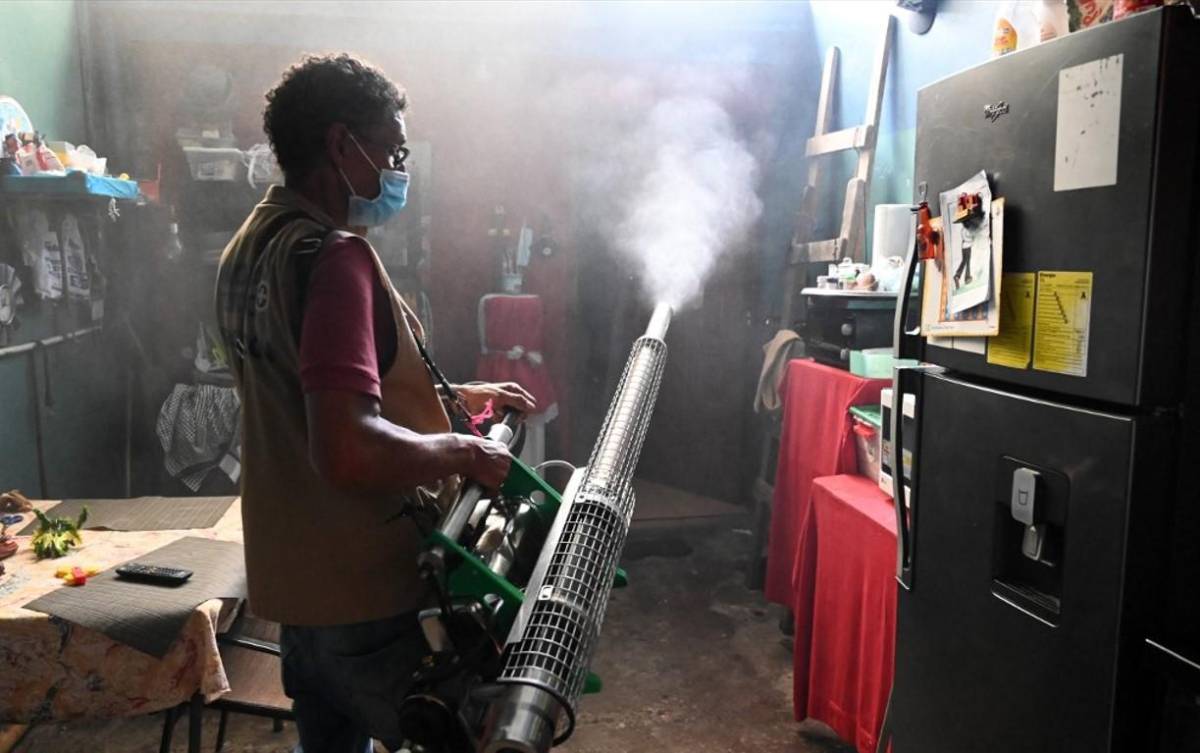 Honduras reporta peor registro de muertos por dengue en Centroamérica