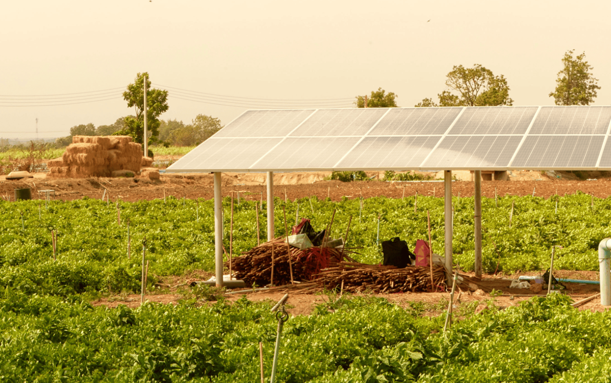 Empresas de Guatemala y Nicaragua entre las ganadoras del Desafío SolarX para Startups