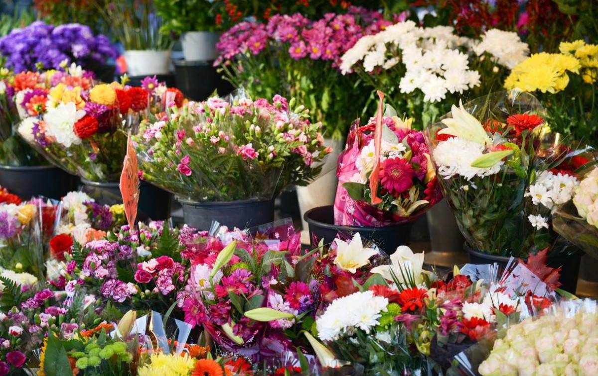 Guatemala llena de colores el Día de San Valentín con sus exportaciones de flores